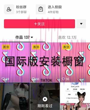 TikTok安装教程冷门不起眼，很多人看不起的副业一单29，日赚500块